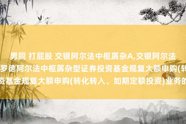 男同 打屁股 交银阿尔法中枢羼杂A,交银阿尔法中枢羼杂C: 对于交银施罗德阿尔法中枢羼杂型证券投资基金规复大额申购(转化转入、如期定额投资)业务的公告