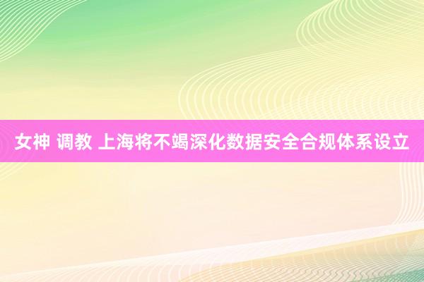 女神 调教 上海将不竭深化数据安全合规体系设立