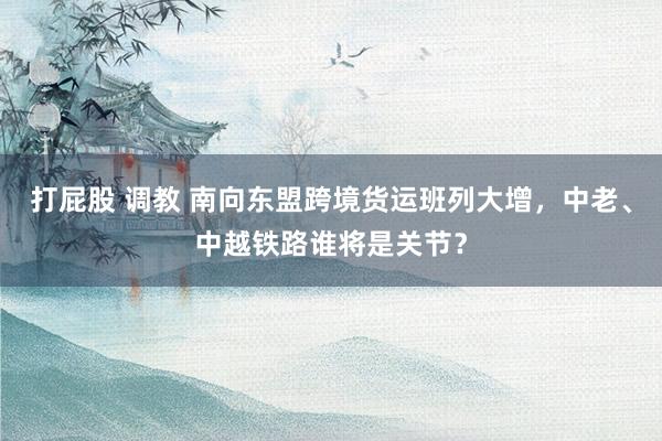 打屁股 调教 南向东盟跨境货运班列大增，中老、中越铁路谁将是关节？