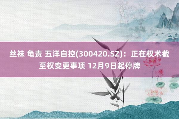 丝袜 龟责 五洋自控(300420.SZ)：正在权术截至权变更事项 12月9日起停牌