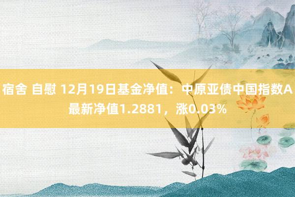 宿舍 自慰 12月19日基金净值：中原亚债中国指数A最新净值1.2881，涨0.03%