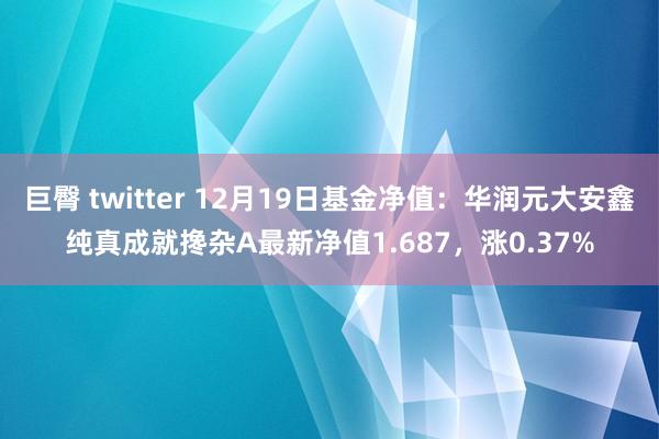 巨臀 twitter 12月19日基金净值：华润元大安鑫纯真成就搀杂A最新净值1.687，涨0.37%
