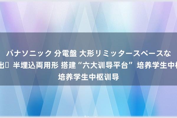 パナソニック 分電盤 大形リミッタースペースなし 露出・半埋込両用形 搭建“六大训导平台” 培养学生中枢训导