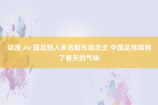 动漫 av 国足招入多名新东说念主 中国足球闻到了春天的气味
