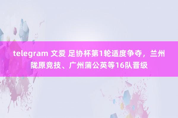 telegram 文爱 足协杯第1轮适度争夺，兰州陇原竞技、广州蒲公英等16队晋级