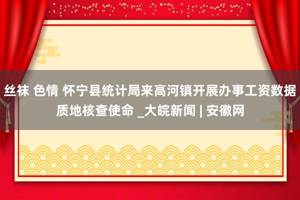 丝袜 色情 怀宁县统计局来高河镇开展办事工资数据质地核查使命 _大皖新闻 | 安徽网