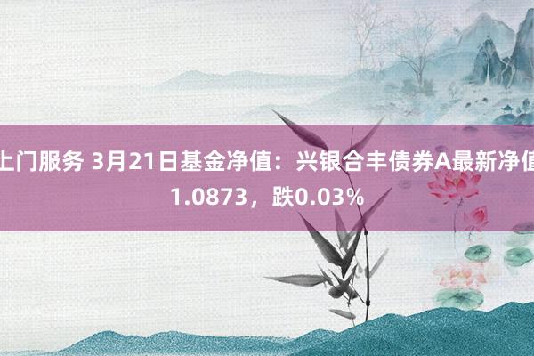 上门服务 3月21日基金净值：兴银合丰债券A最新净值1.0873，跌0.03%