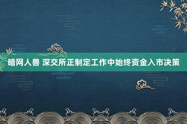 暗网人兽 深交所正制定工作中始终资金入市决策