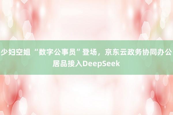 少妇空姐 “数字公事员”登场，京东云政务协同办公居品接入DeepSeek