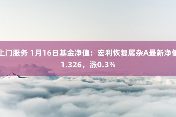 上门服务 1月16日基金净值：宏利恢复羼杂A最新净值1.326，涨0.3%