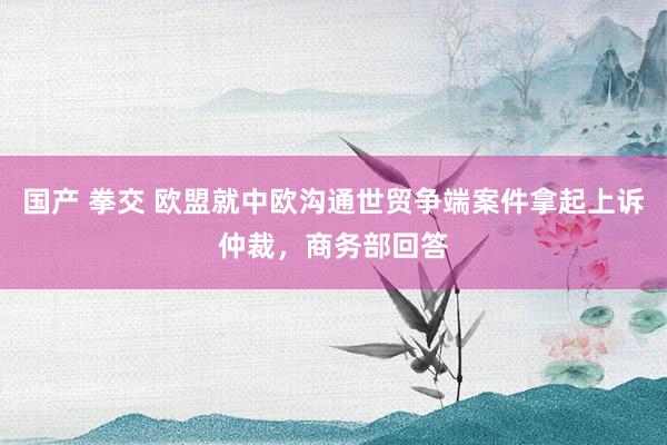 国产 拳交 欧盟就中欧沟通世贸争端案件拿起上诉仲裁，商务部回答